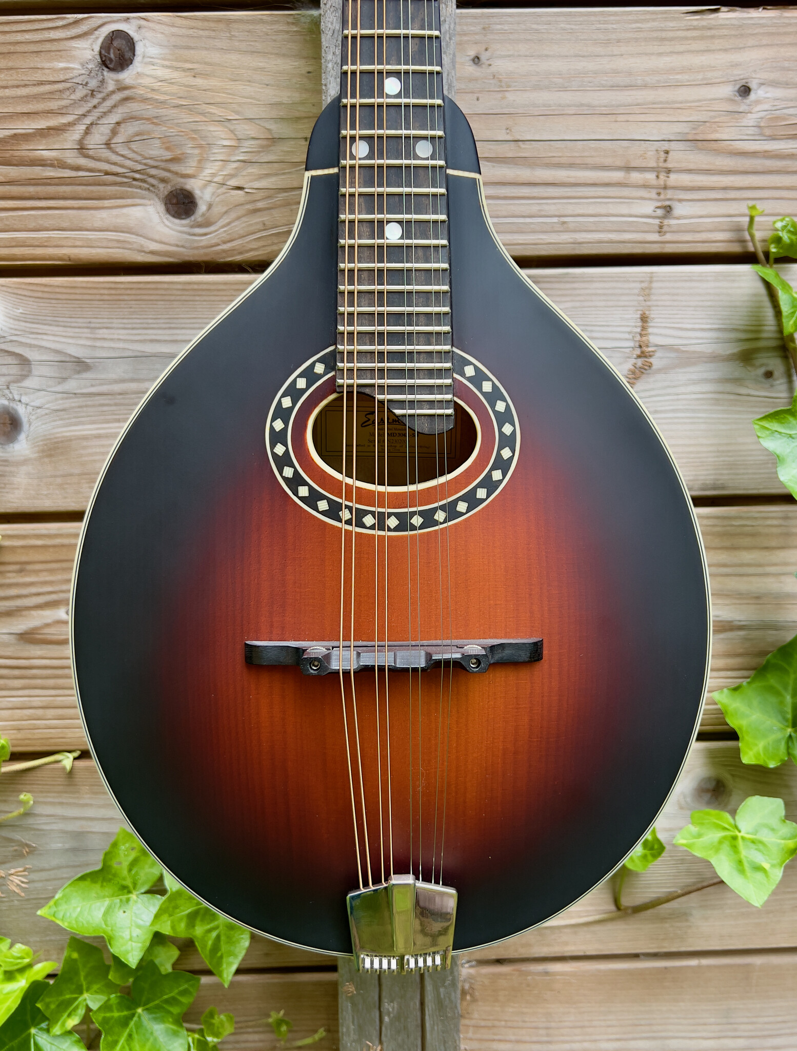 Eastman Eastman MD304E Sunburst