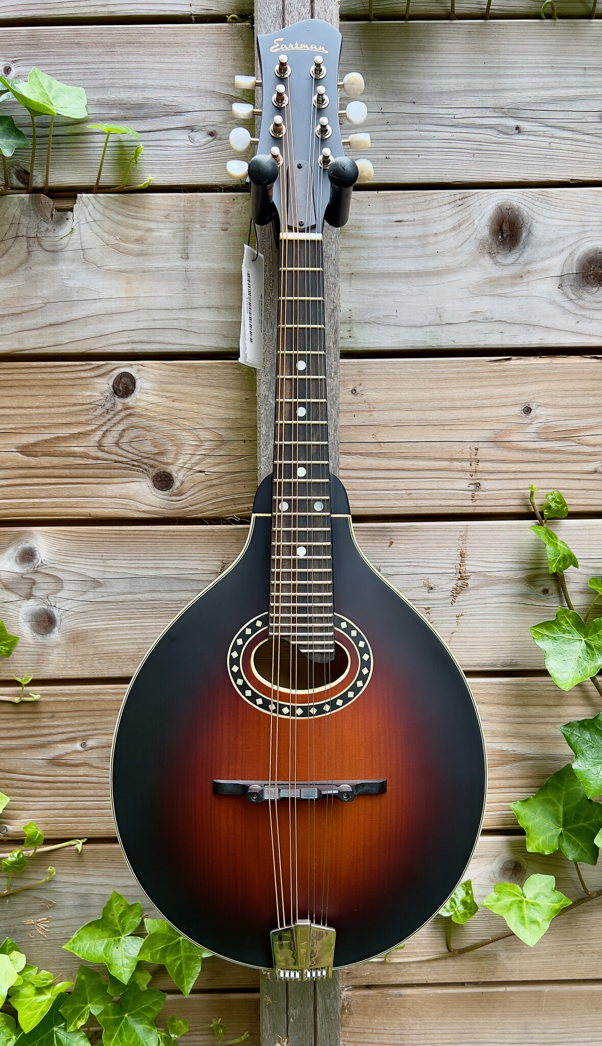Eastman Eastman MD304E Sunburst