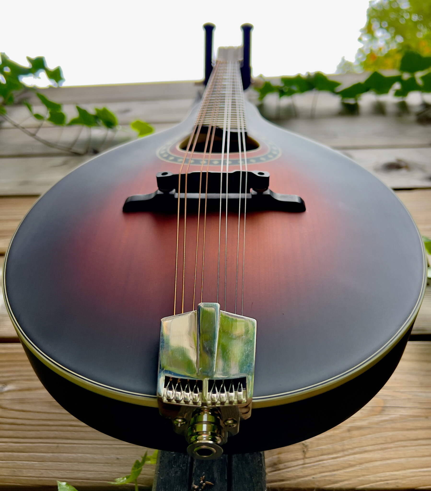 Eastman Eastman MD304E Sunburst