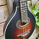 Eastman Eastman MD304E Sunburst