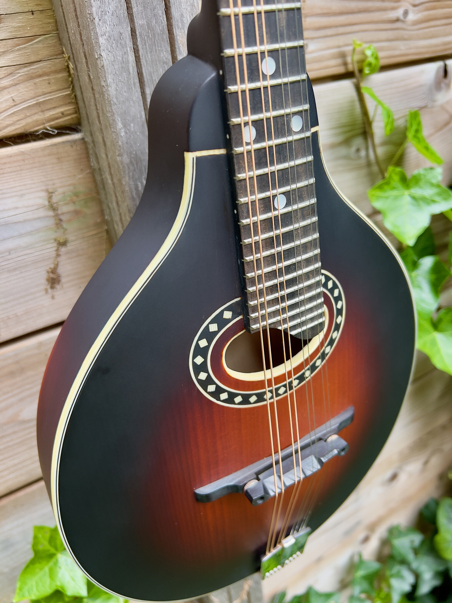 Eastman Eastman MD304E Sunburst