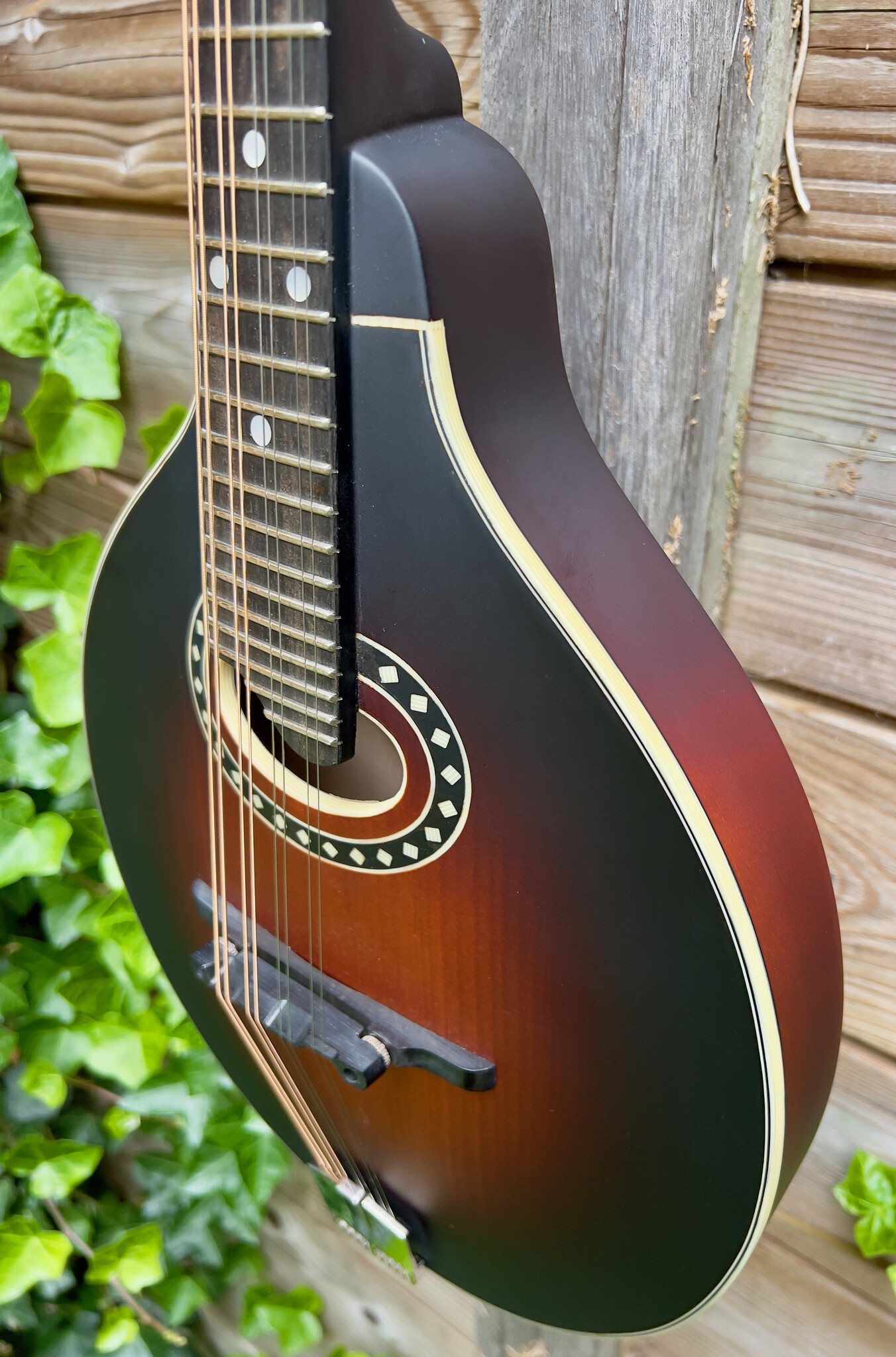 Eastman Eastman MD304E Sunburst