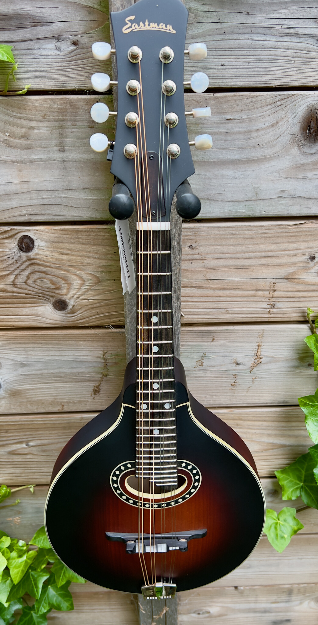 Eastman Eastman MD304E-SB