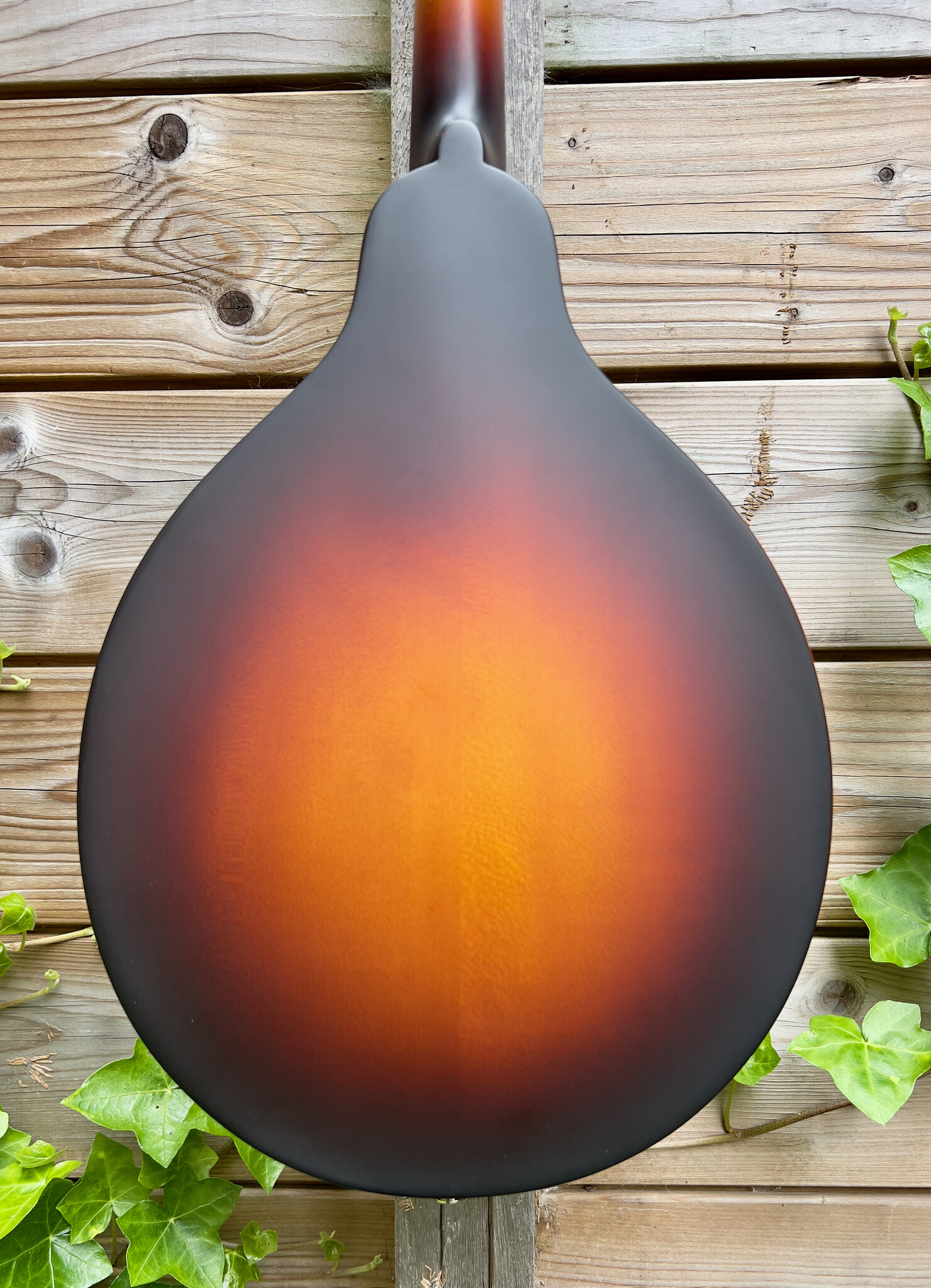 Eastman Eastman MD304E Sunburst