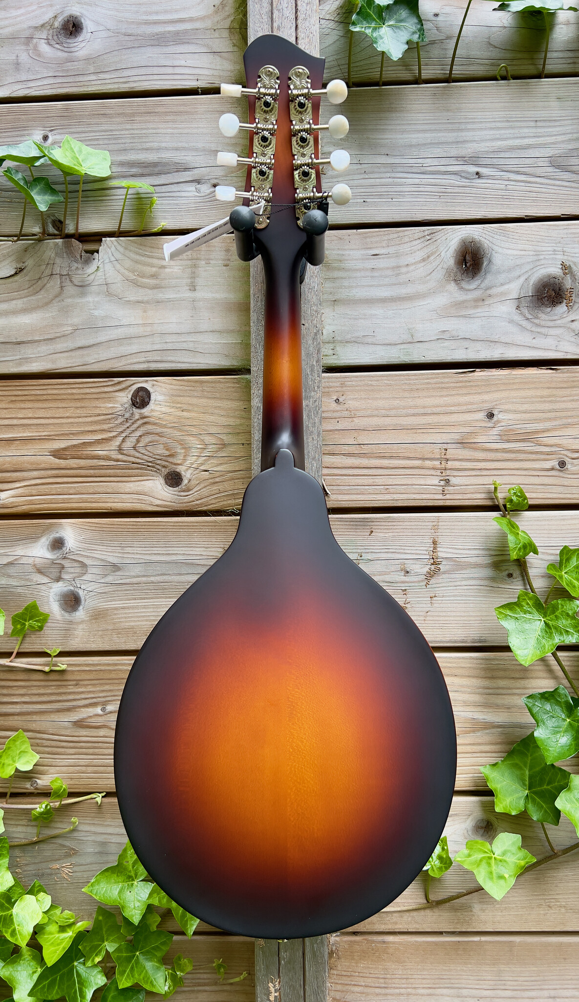 Eastman Eastman MD304E Sunburst