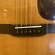 Eastman Eastman E8D-TC (#...385)