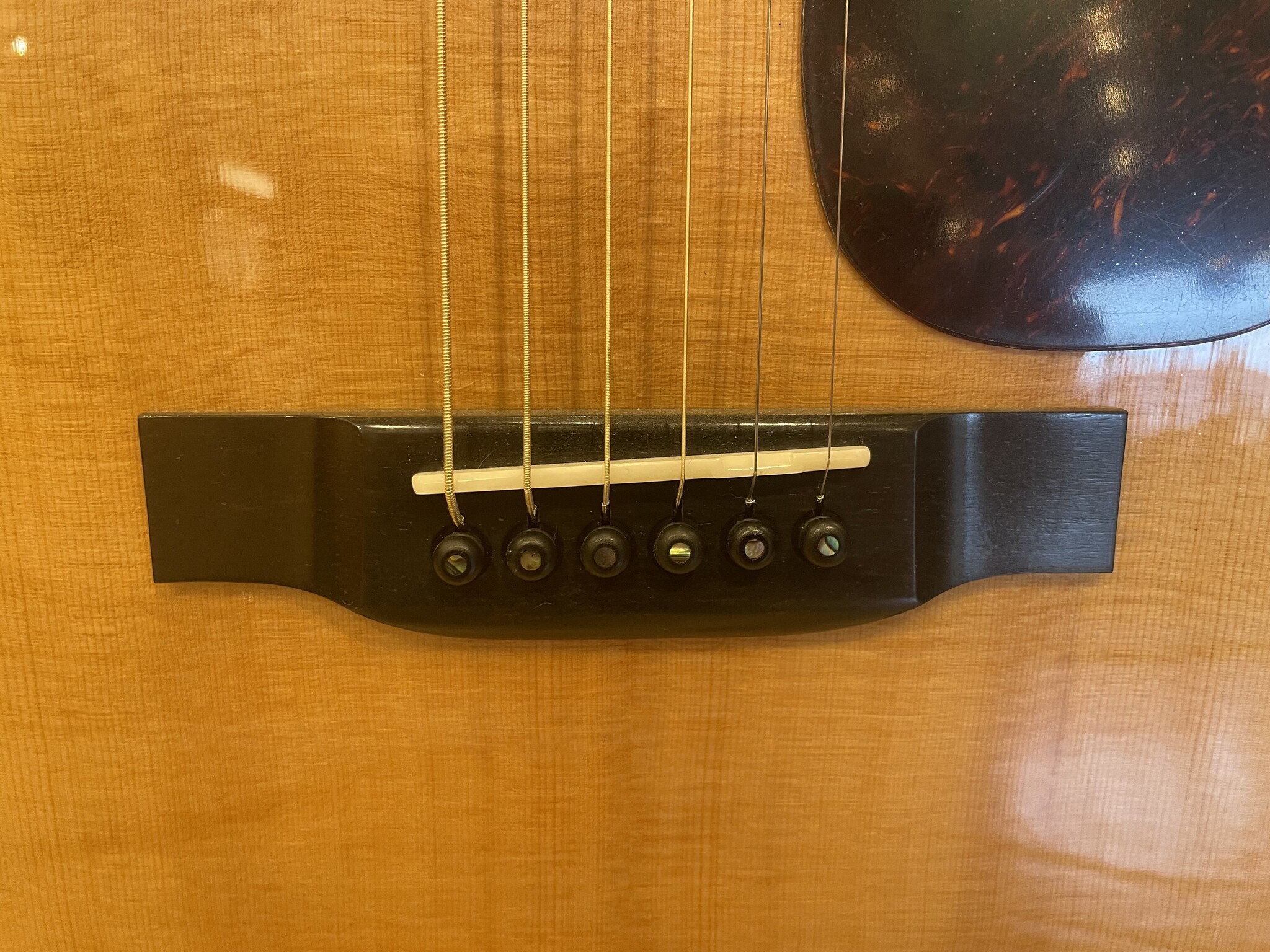 Eastman Eastman E8D-TC (#...385)