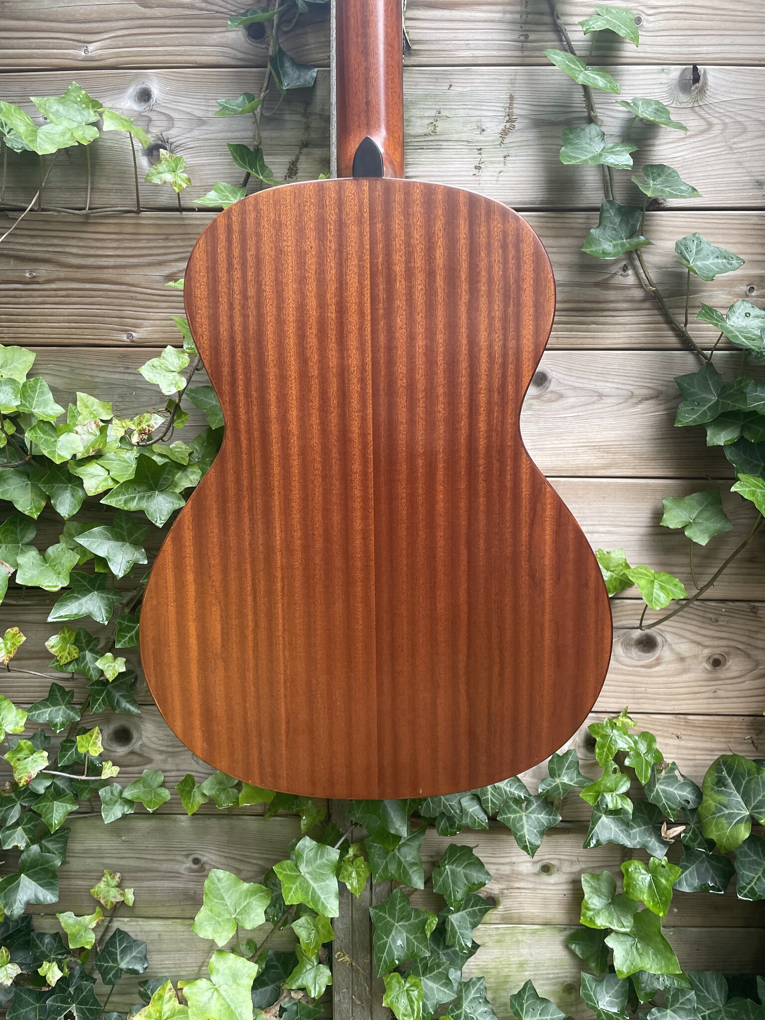 Albert & Muller Albert & Müller S-2 Mahogany