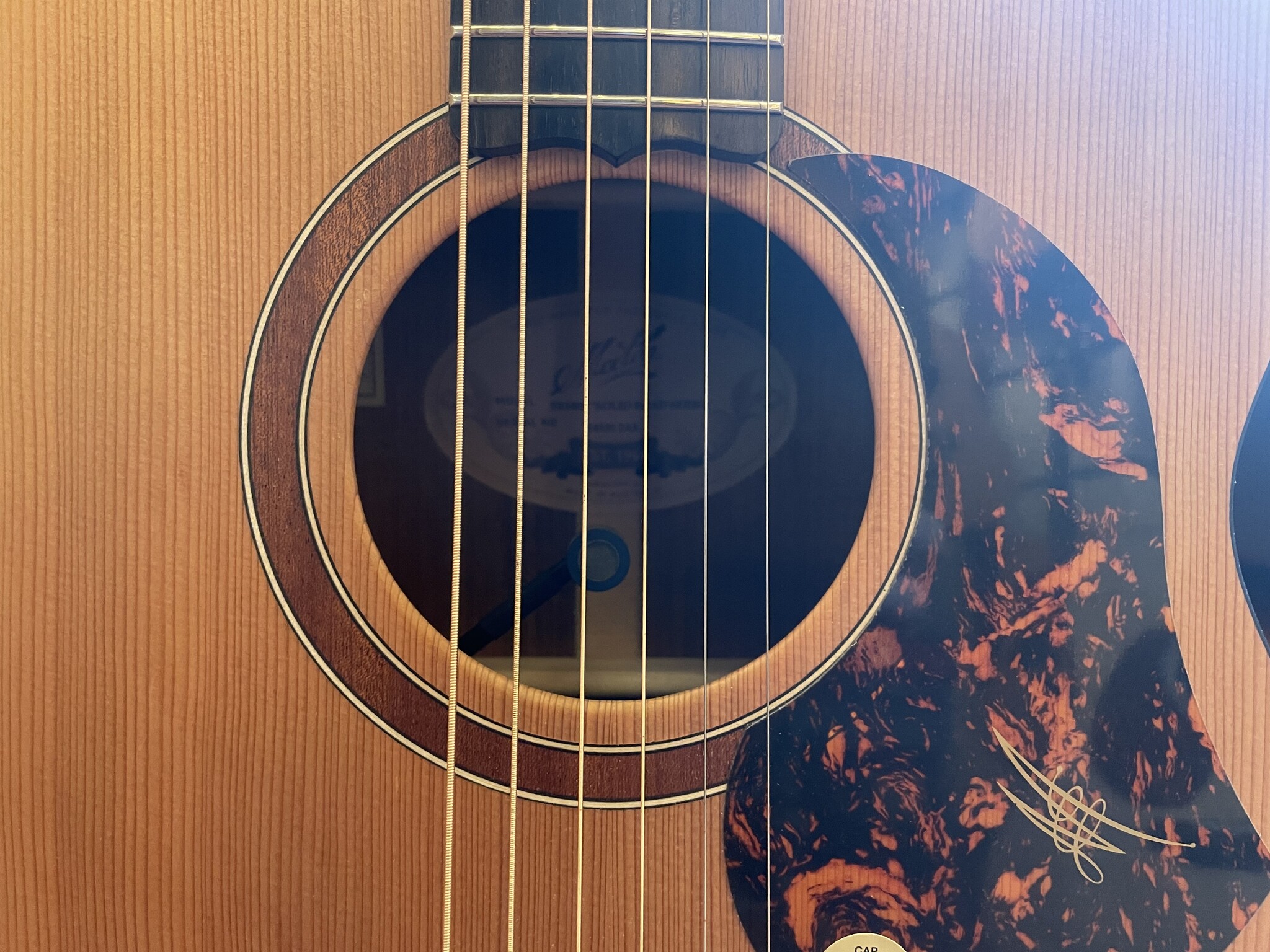 Maton Maton SRS 808 w/AP5-PRO