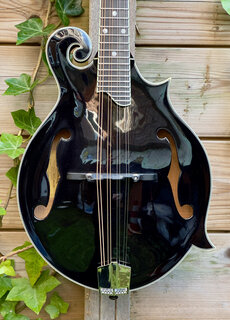 Eastman Eastman MD515-BK-LTD