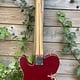 Hayride Hayride Telecaster Candy Apple Red