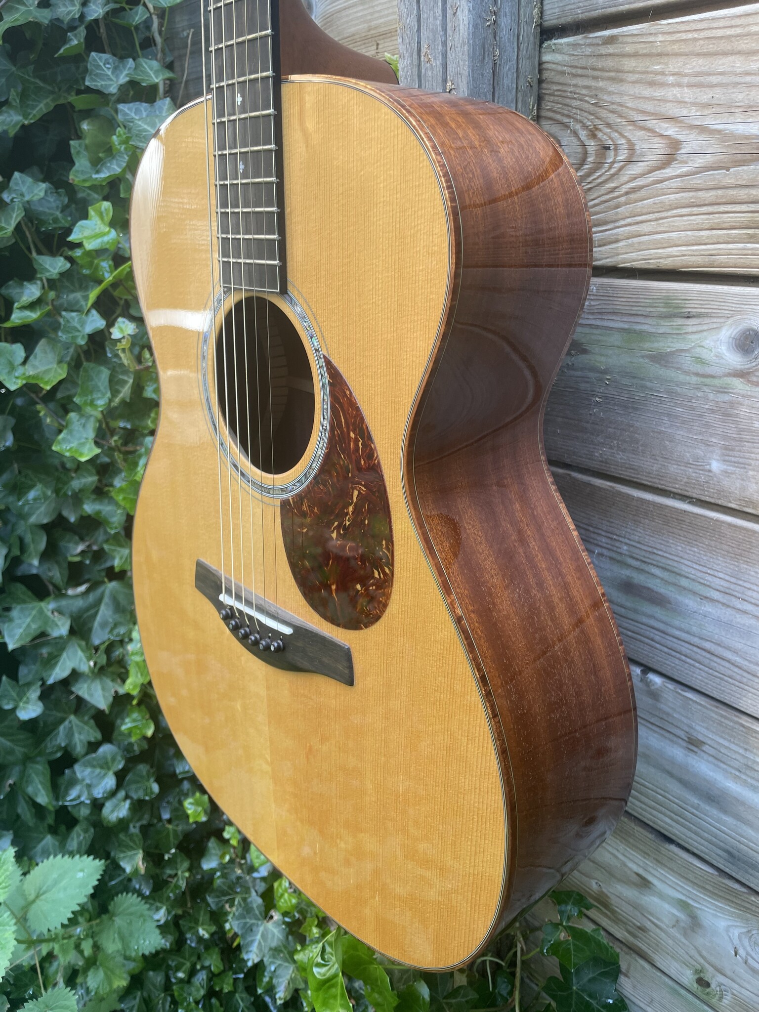 Patrick Eggle Patrick James Eggle Linville  SALE!