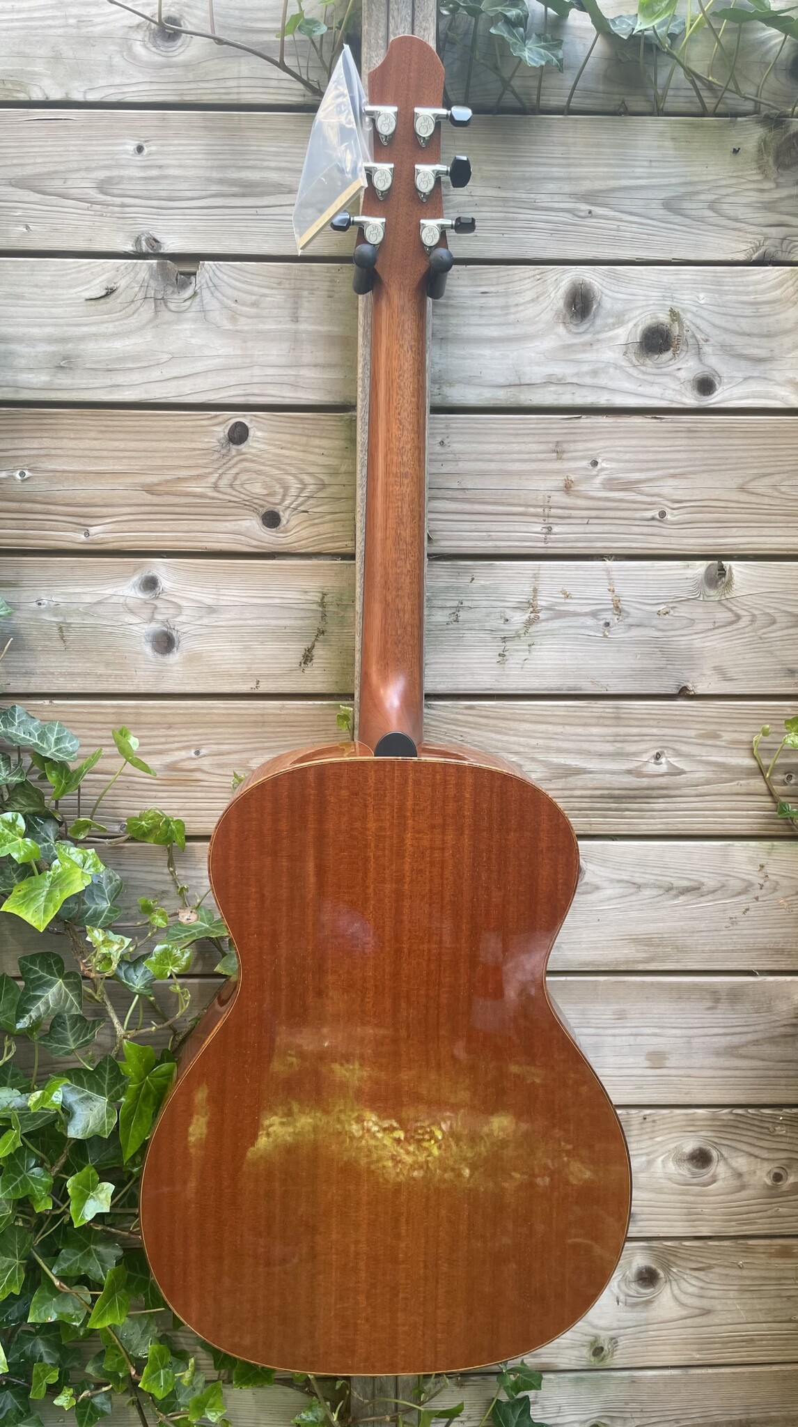 Patrick Eggle Patrick James Eggle Linville  SALE!