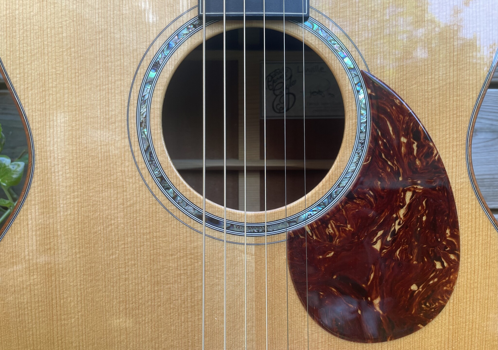 Patrick Eggle (SALE!) Patrick James Eggle Linville