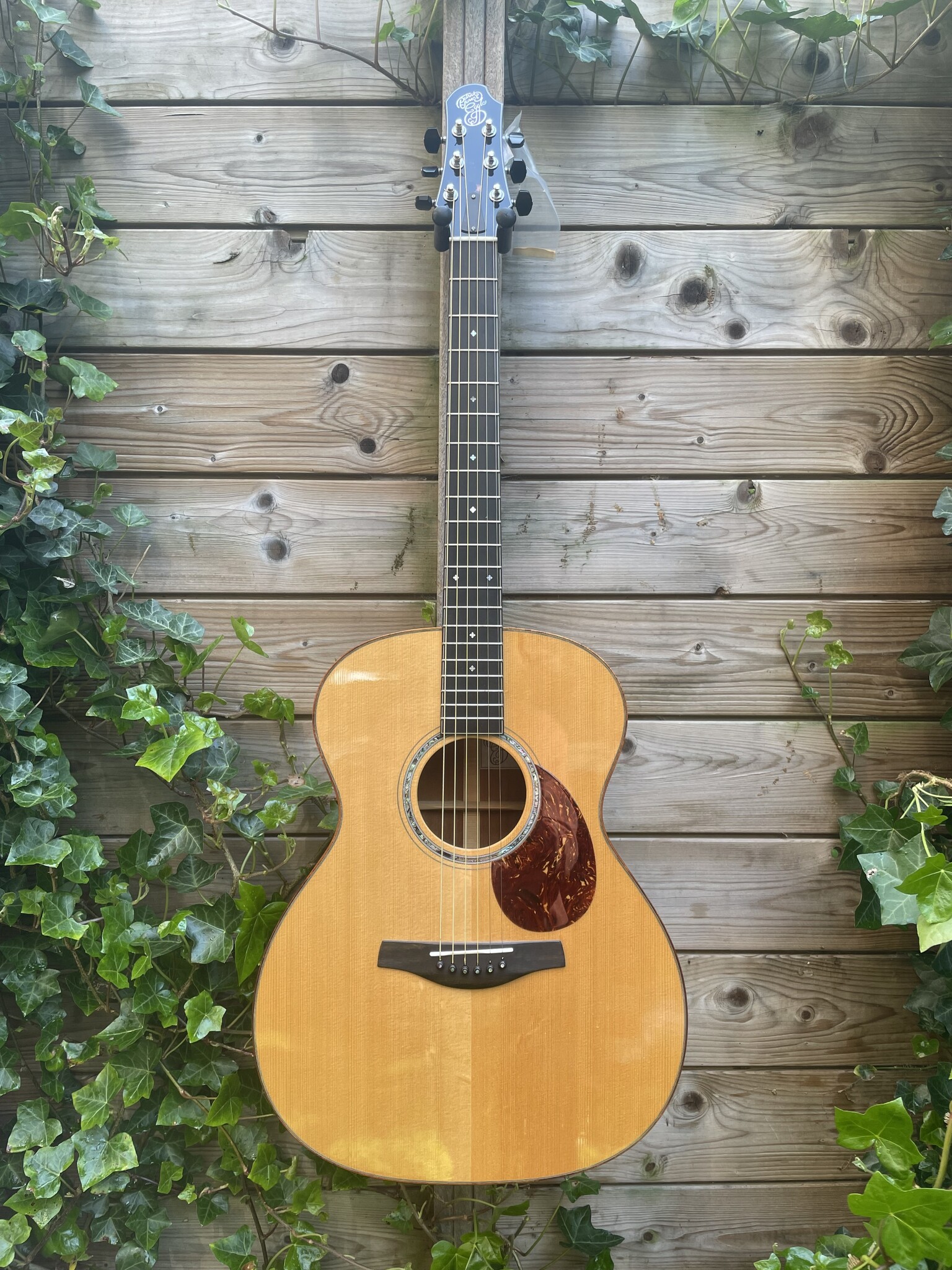 Patrick Eggle (SALE!) Patrick James Eggle Linville