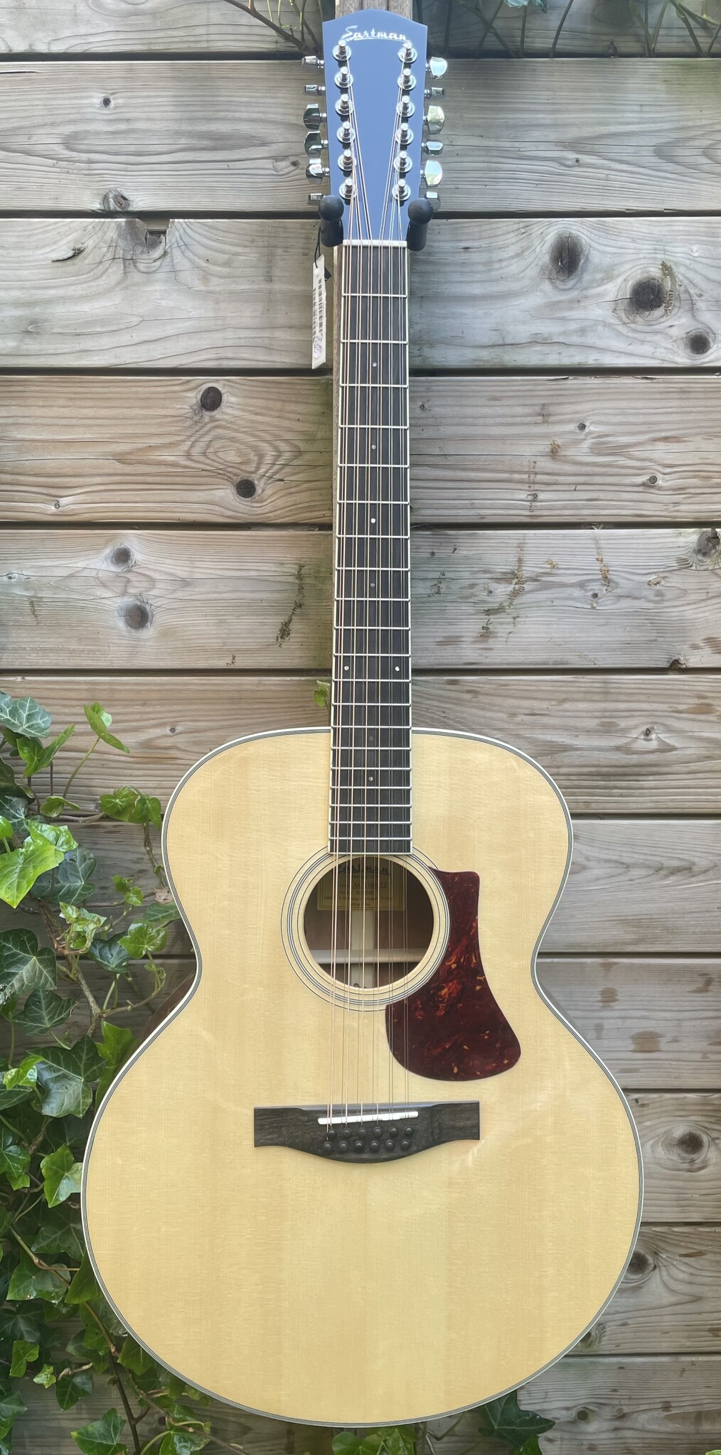 Eastman Eastman AC330E-12 String