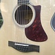 Eastman Eastman AC330E-12 String (#...907)