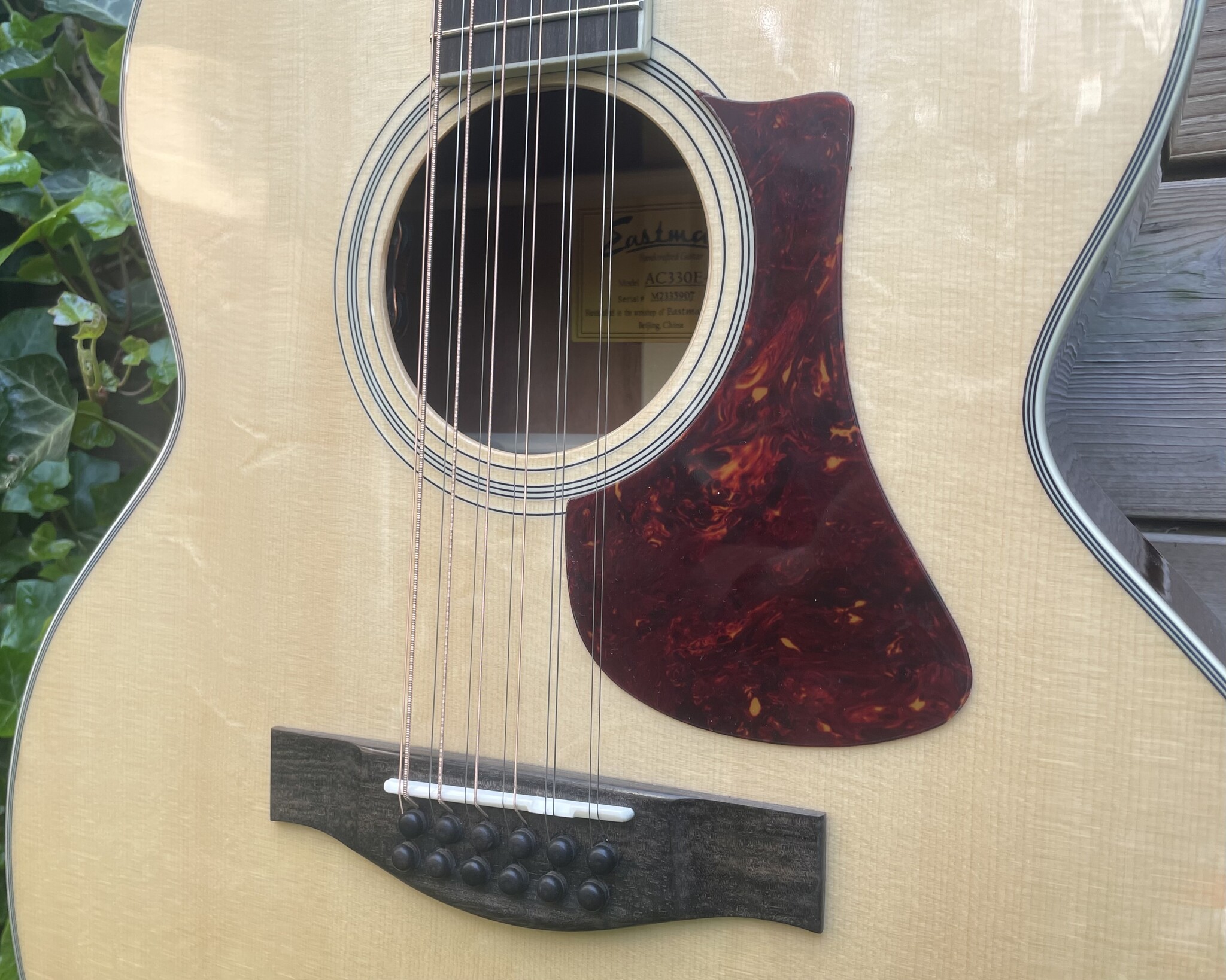 Eastman Eastman AC330E-12 String