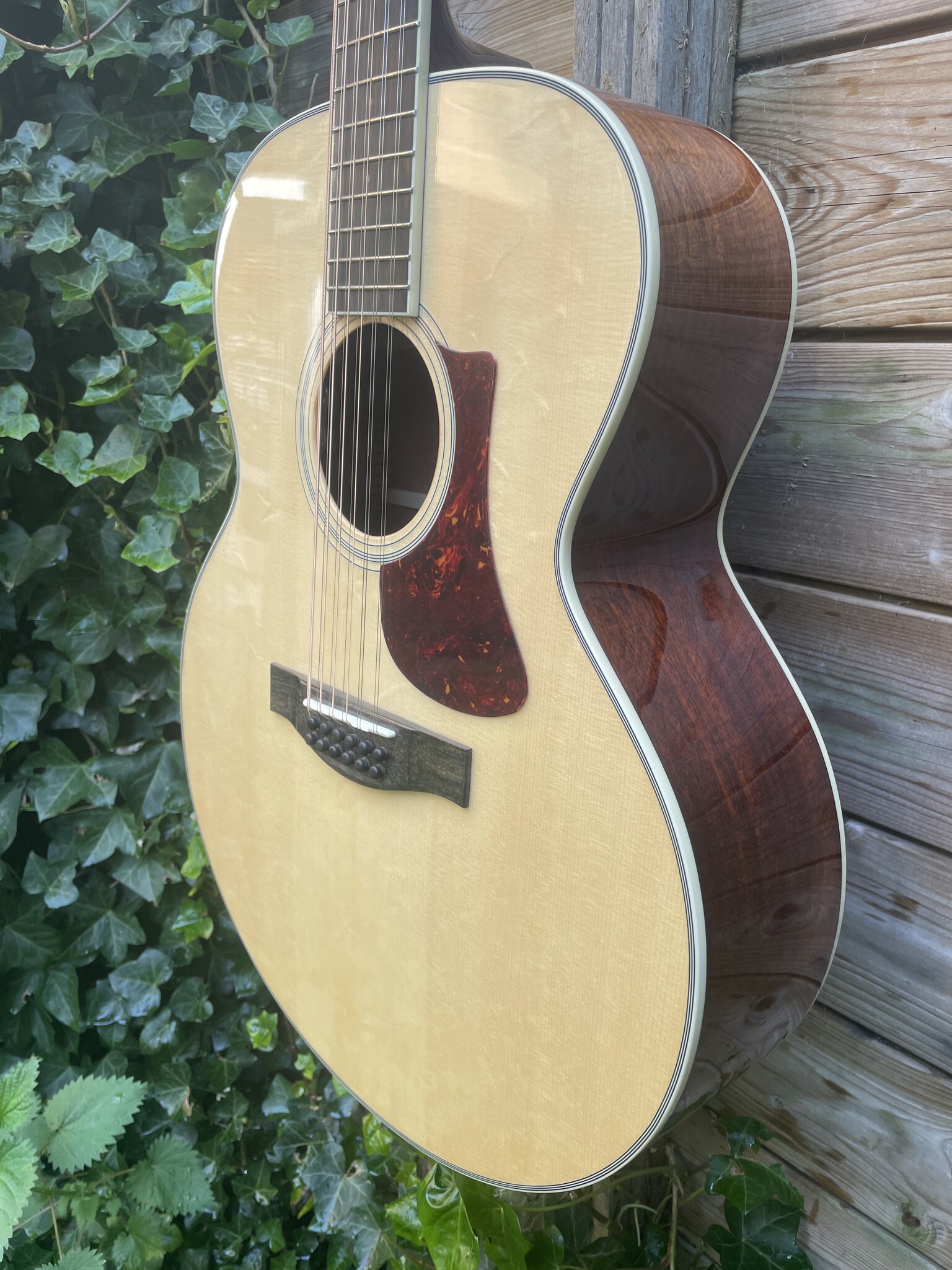 Eastman Eastman AC330E-12 String