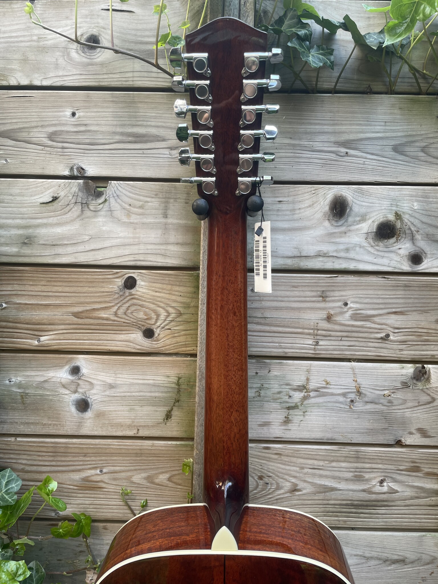Eastman Eastman AC330E-12 String