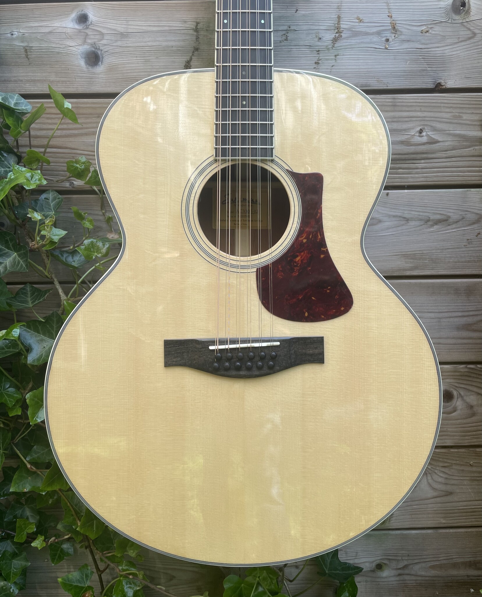 Eastman Eastman AC330E-12 String