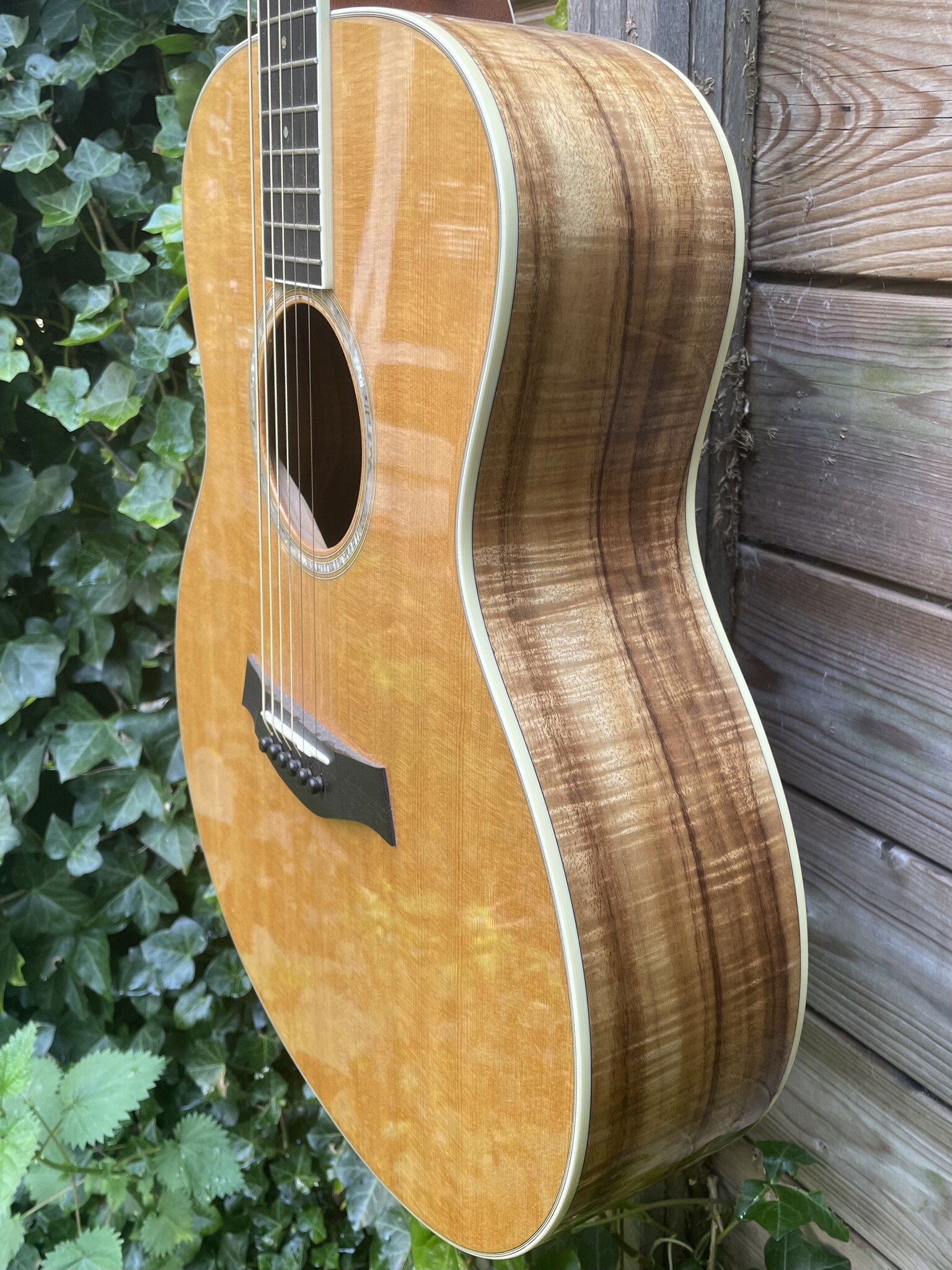 Taylor 2006 Taylor GS Custom Hawaiian Koa