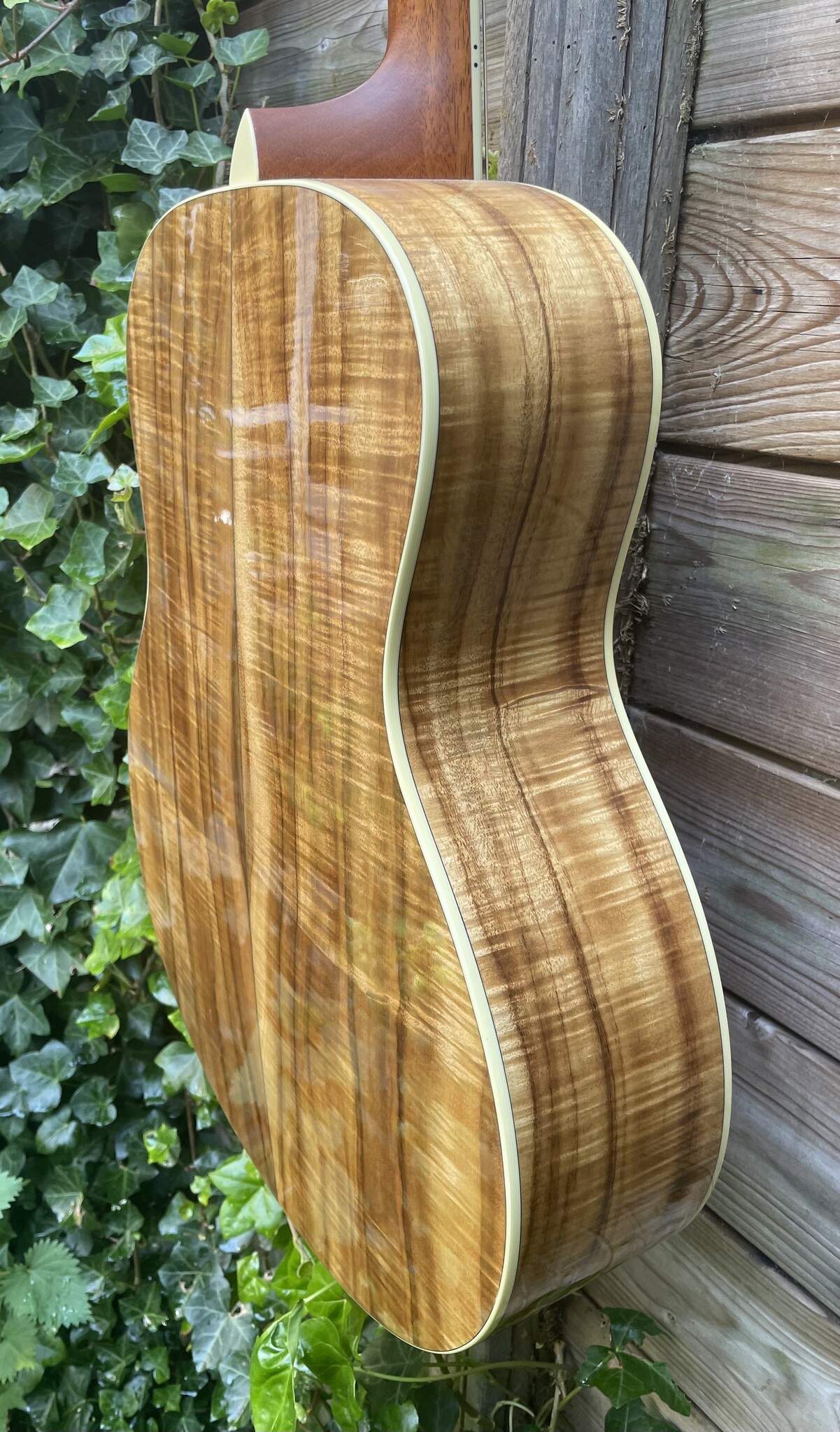 Taylor 2006 Taylor Grand Symphony Custom Hawaiian Koa