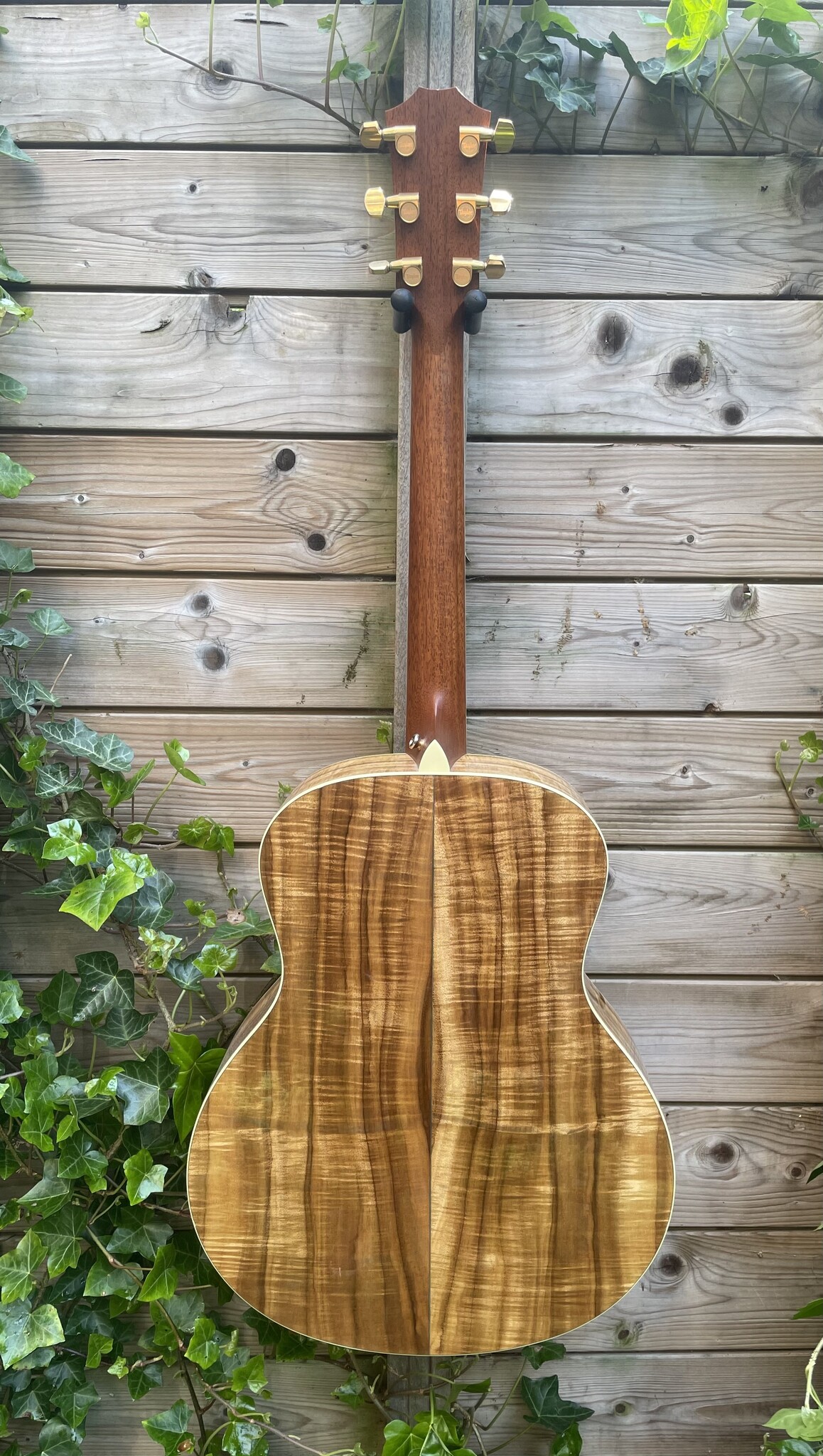 Taylor 2006 Taylor Grand Symphony Custom Hawaiian Koa