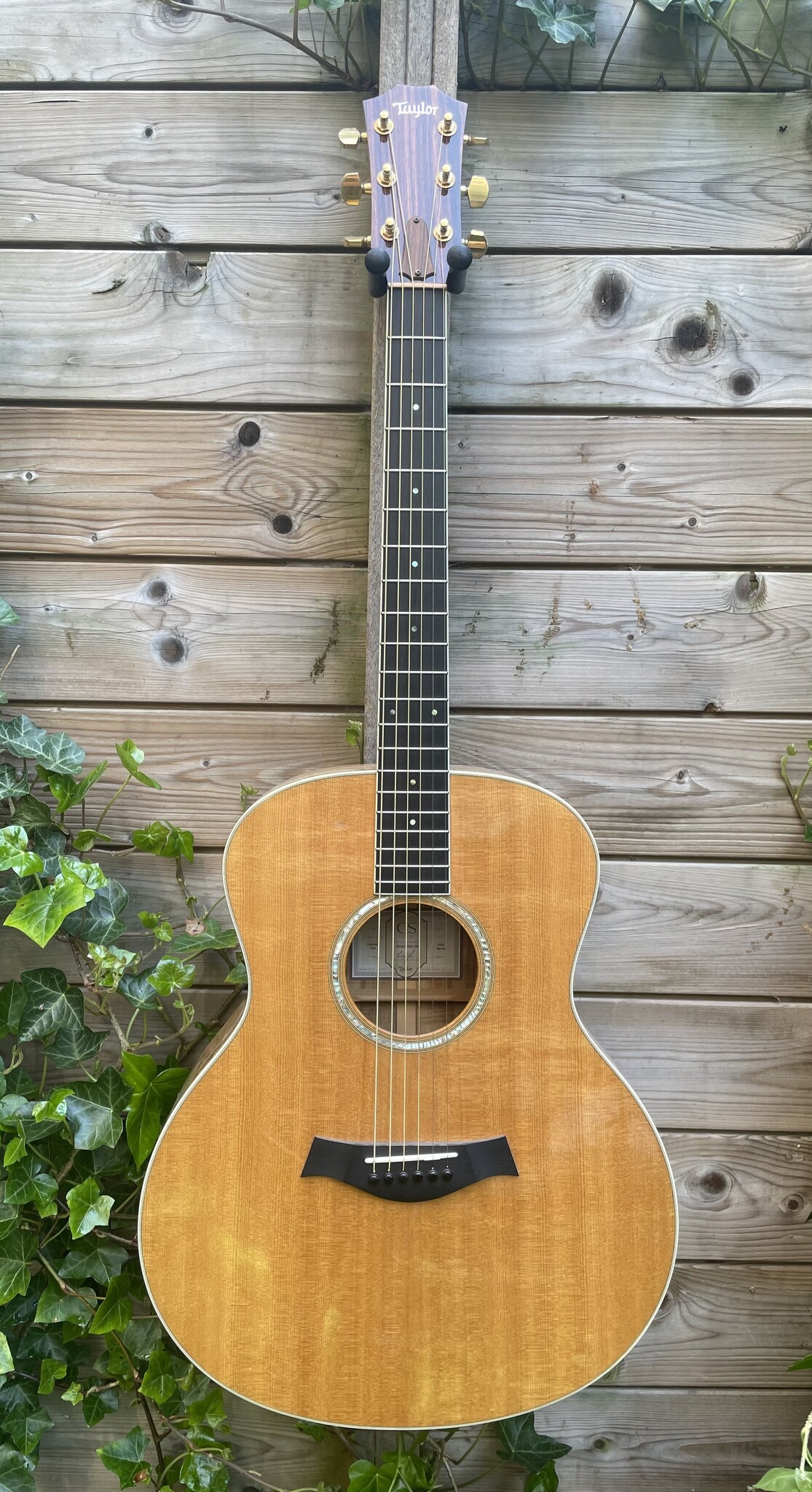Taylor 2006 Taylor Grand Symphony Custom Hawaiian Koa