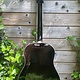 Gibson (ON HOLD) 1994 Gibson J-55 Centennial Reissue #75 of 100
