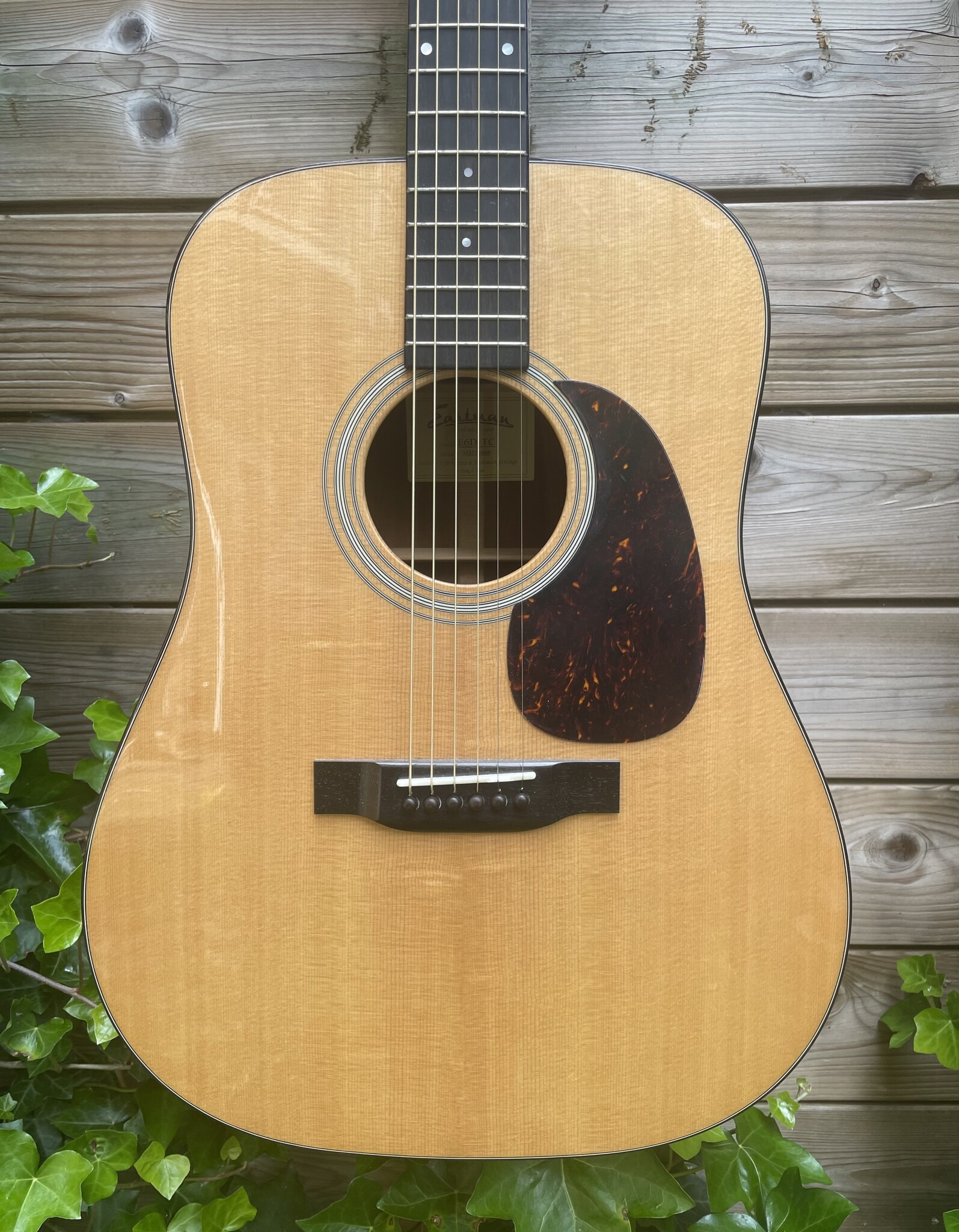 Eastman Eastman E6D-TC (#...668)