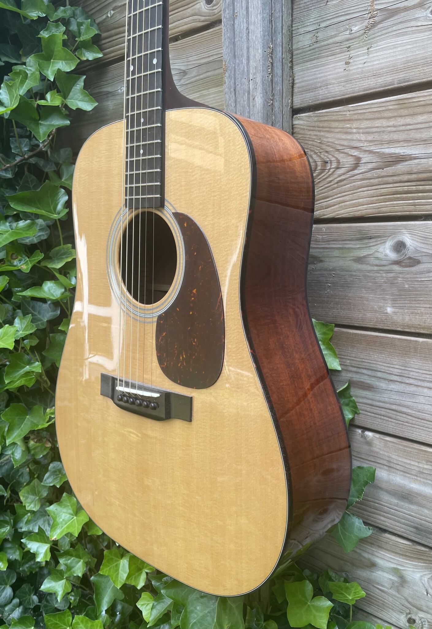 Eastman Eastman E6D-TC (#...668)