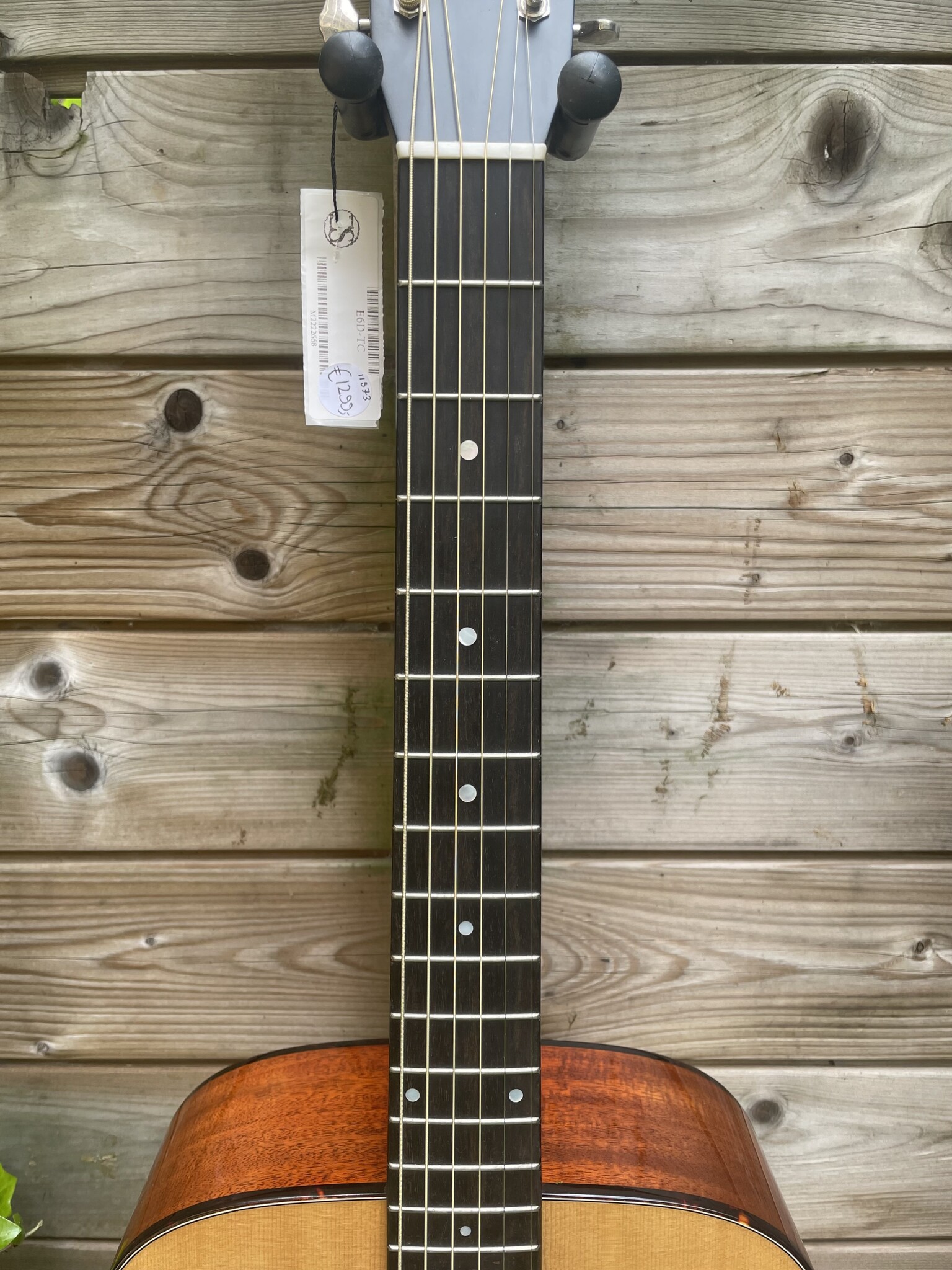 Eastman Eastman E6D-TC (#...668)