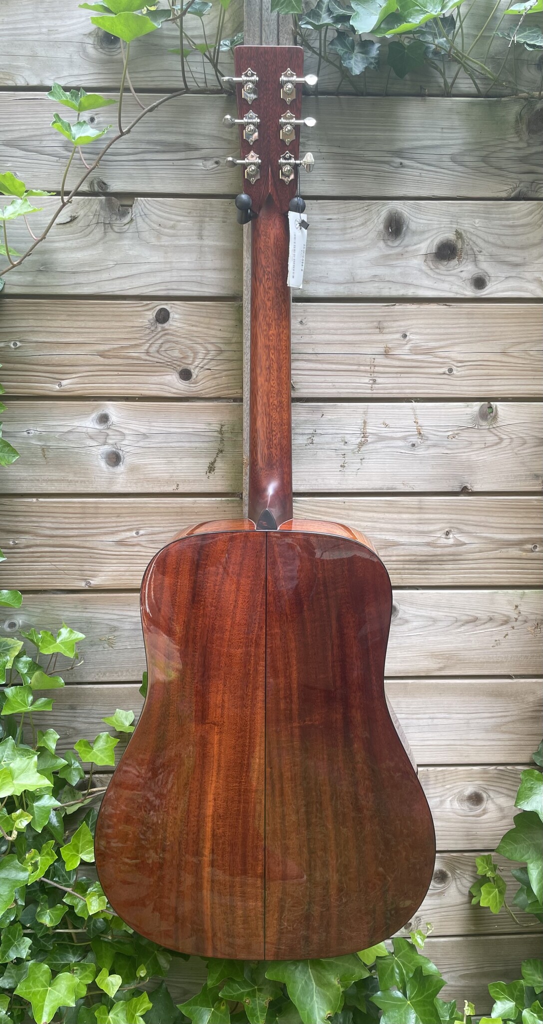 Eastman Eastman E6D-TC (#...668)