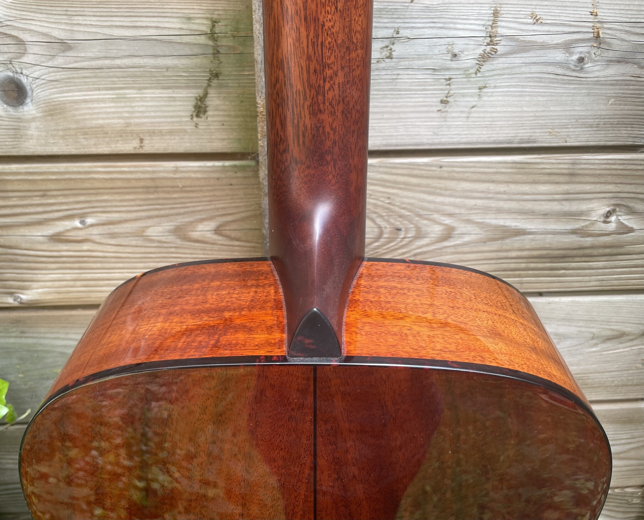 Eastman Eastman E6D-TC (#...668)