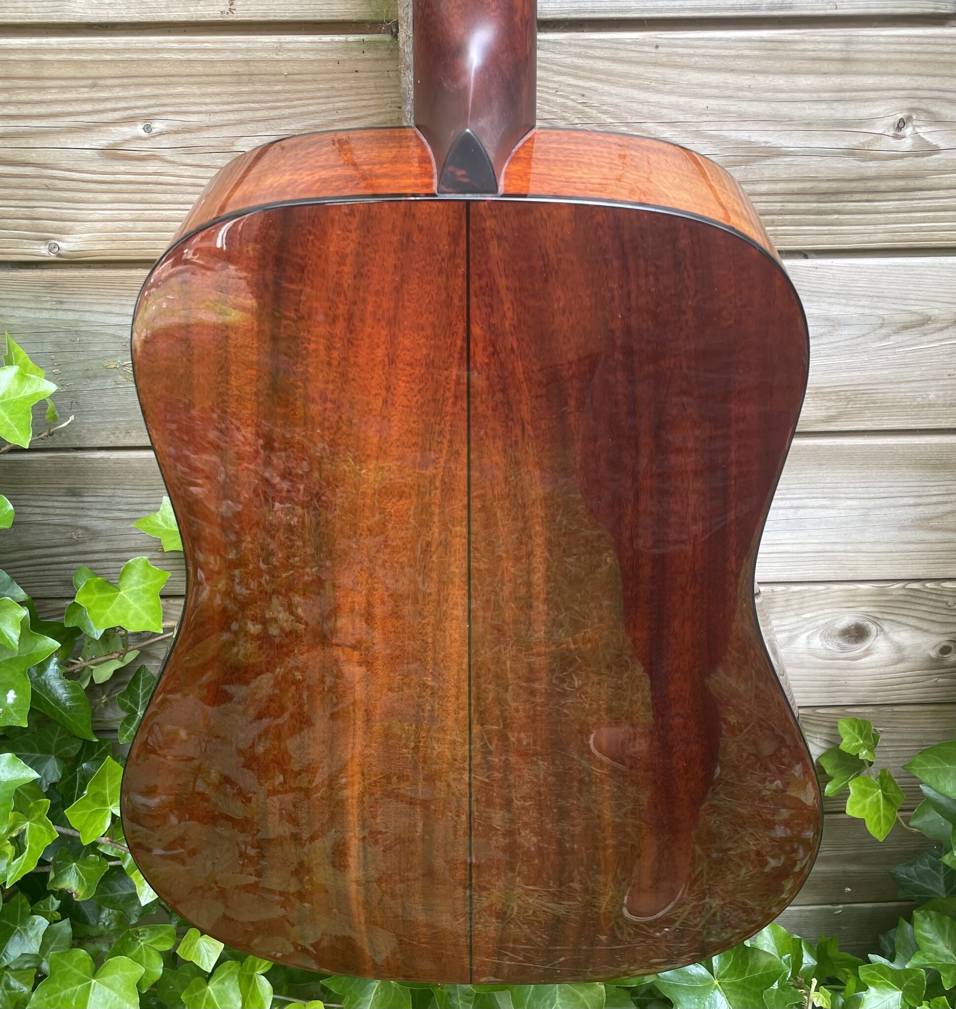 Eastman Eastman E6D-TC (#...668)