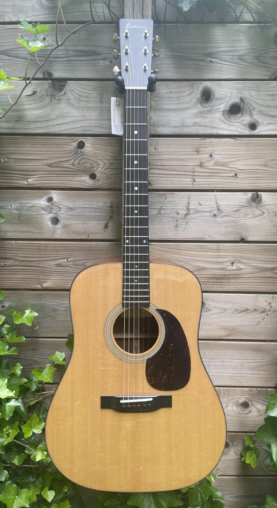 Eastman Eastman E6D-TC (#...668)