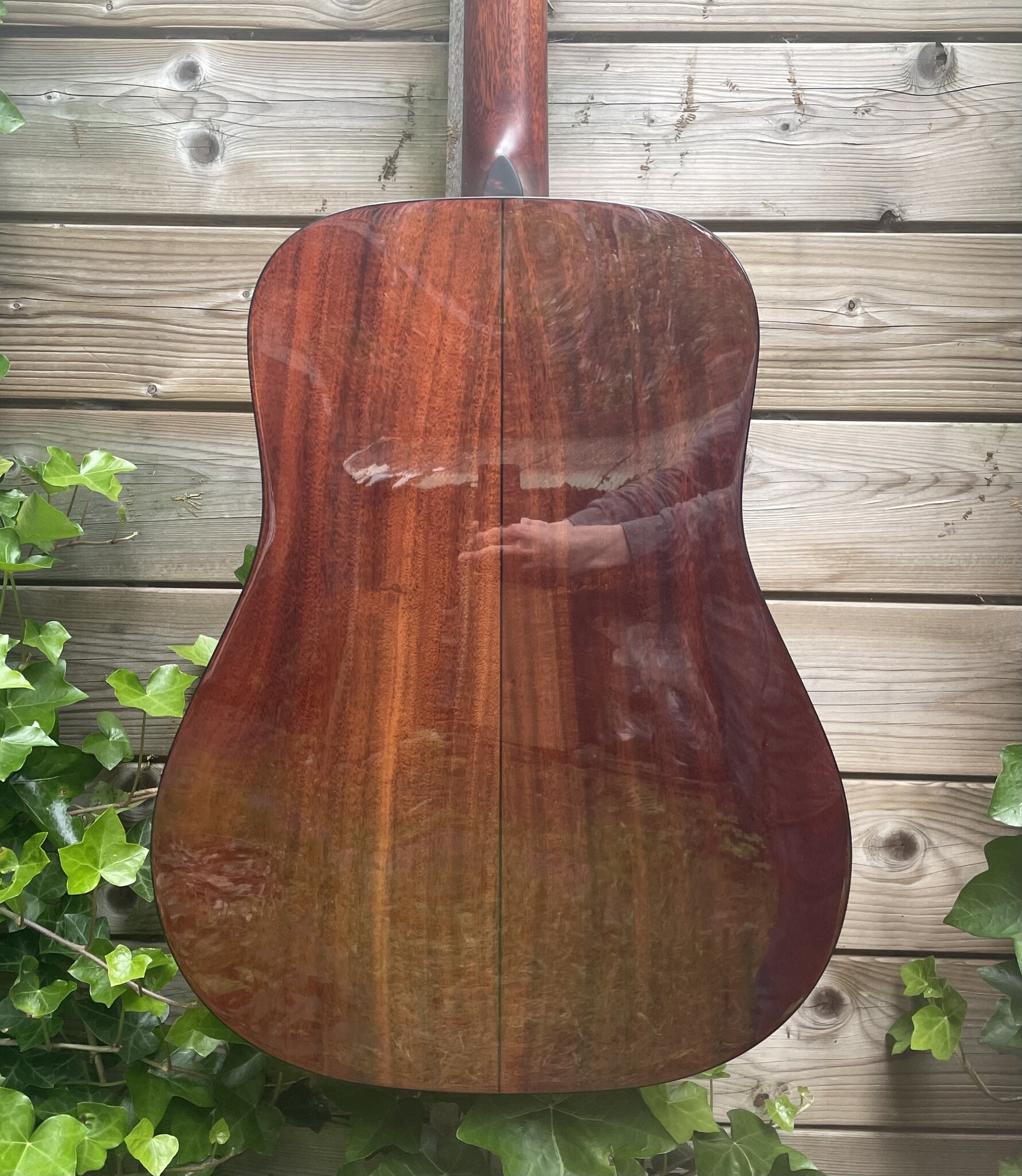 Eastman Eastman E6D-TC (#...668)