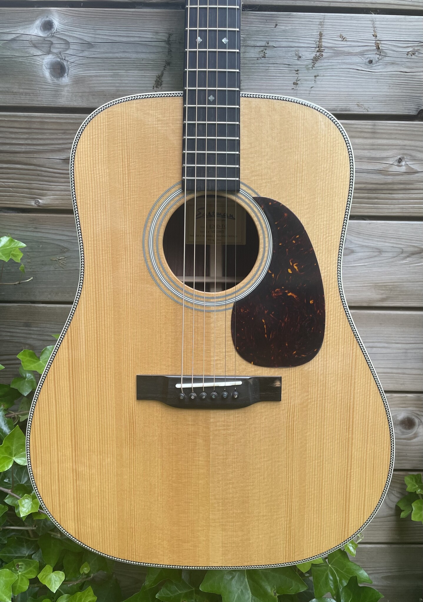 Eastman Eastman E20D-TC (#...873)