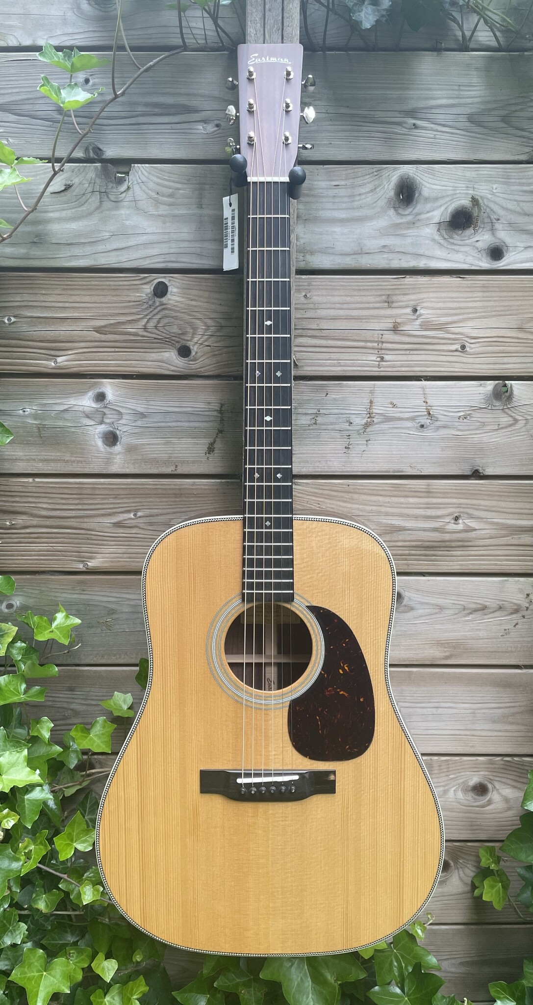 Eastman Eastman E20D-TC (#...873)