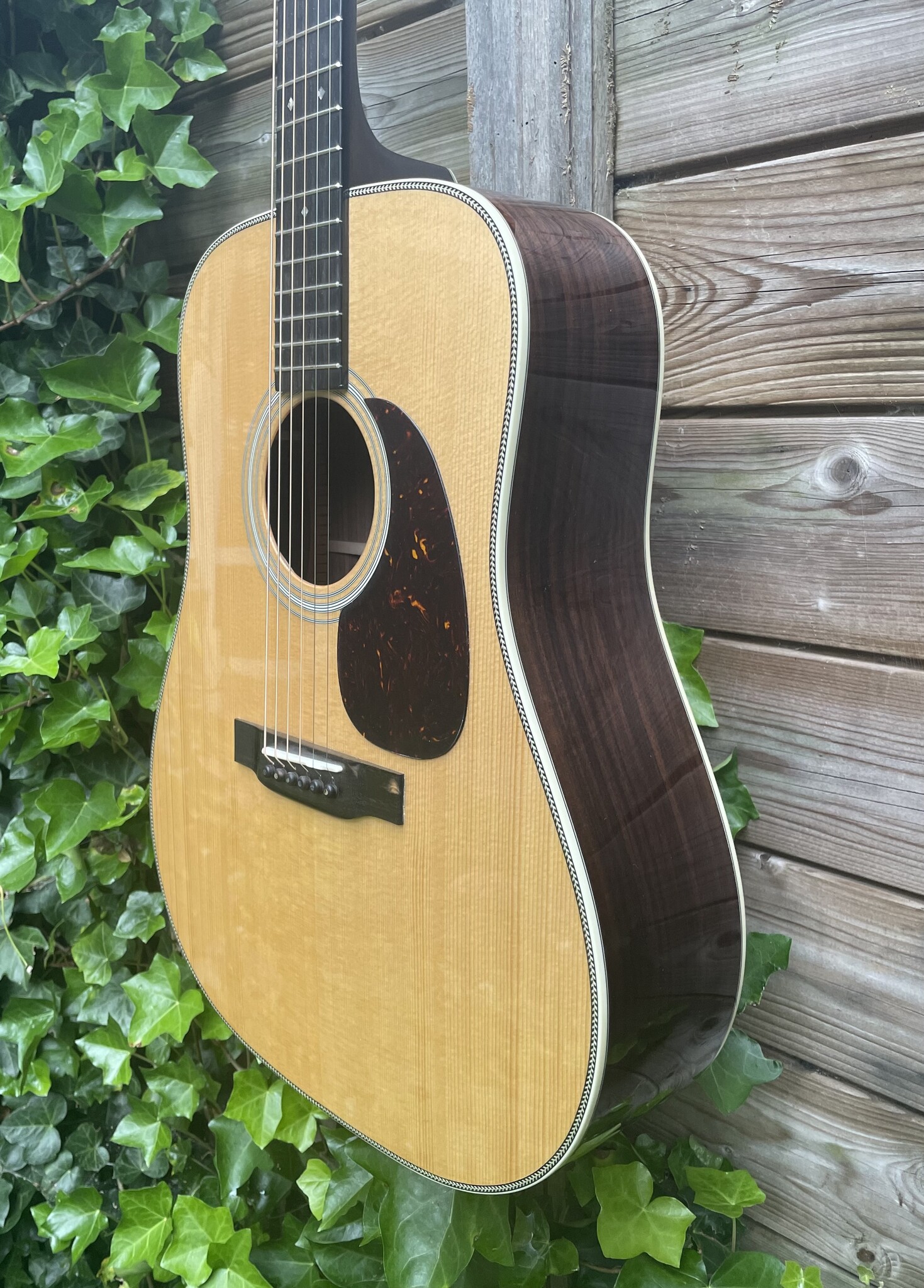 Eastman Eastman E20D-TC (#...873)