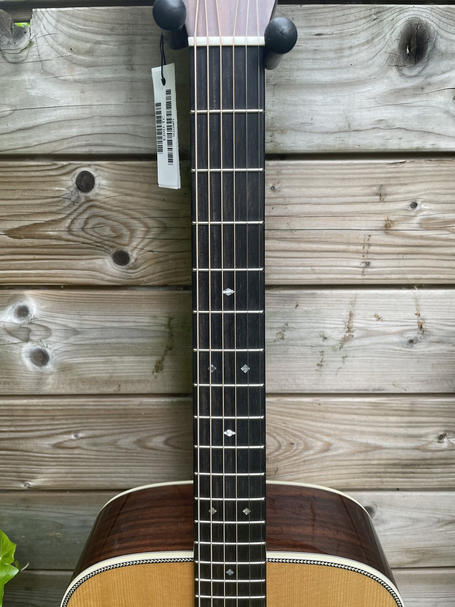 Eastman Eastman E20D-TC (#...873)