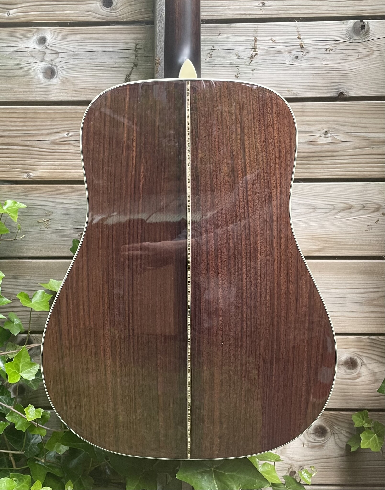 Eastman Eastman E20D-TC (#...873)