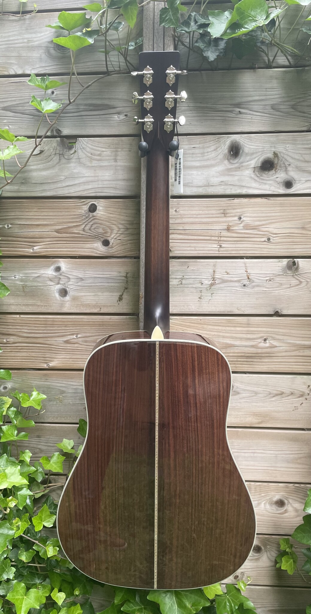 Eastman Eastman E20D-TC (#...873)