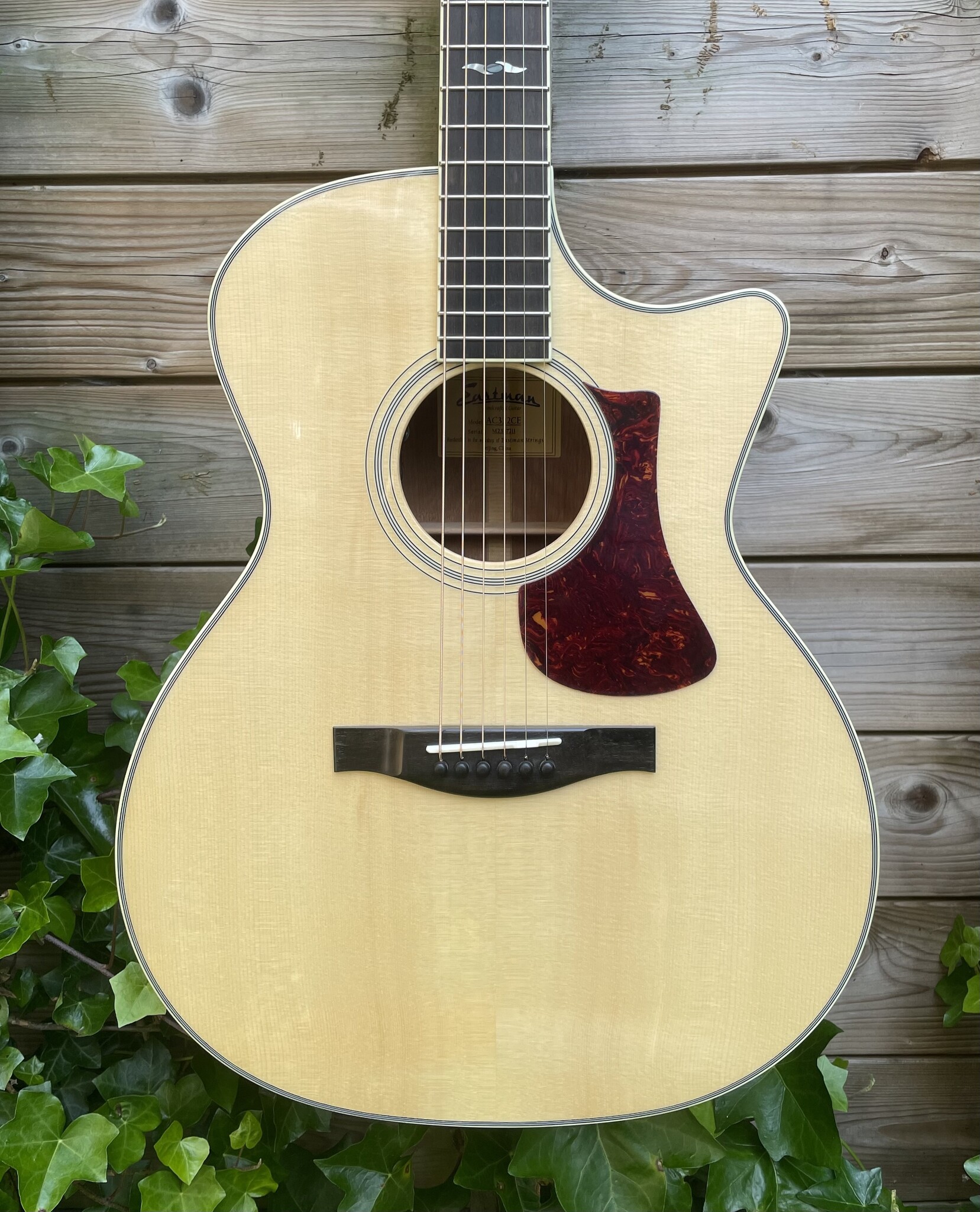 Eastman Eastman AC322CE