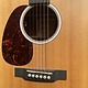 C. F. Martin & Co. Martin D-10E-L Road Series (Lefthanded)