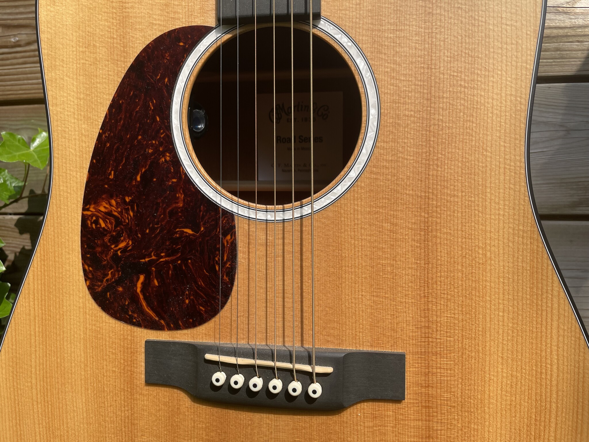 C. F. Martin & Co. Martin D-10E-L Road Series (Lefthanded)