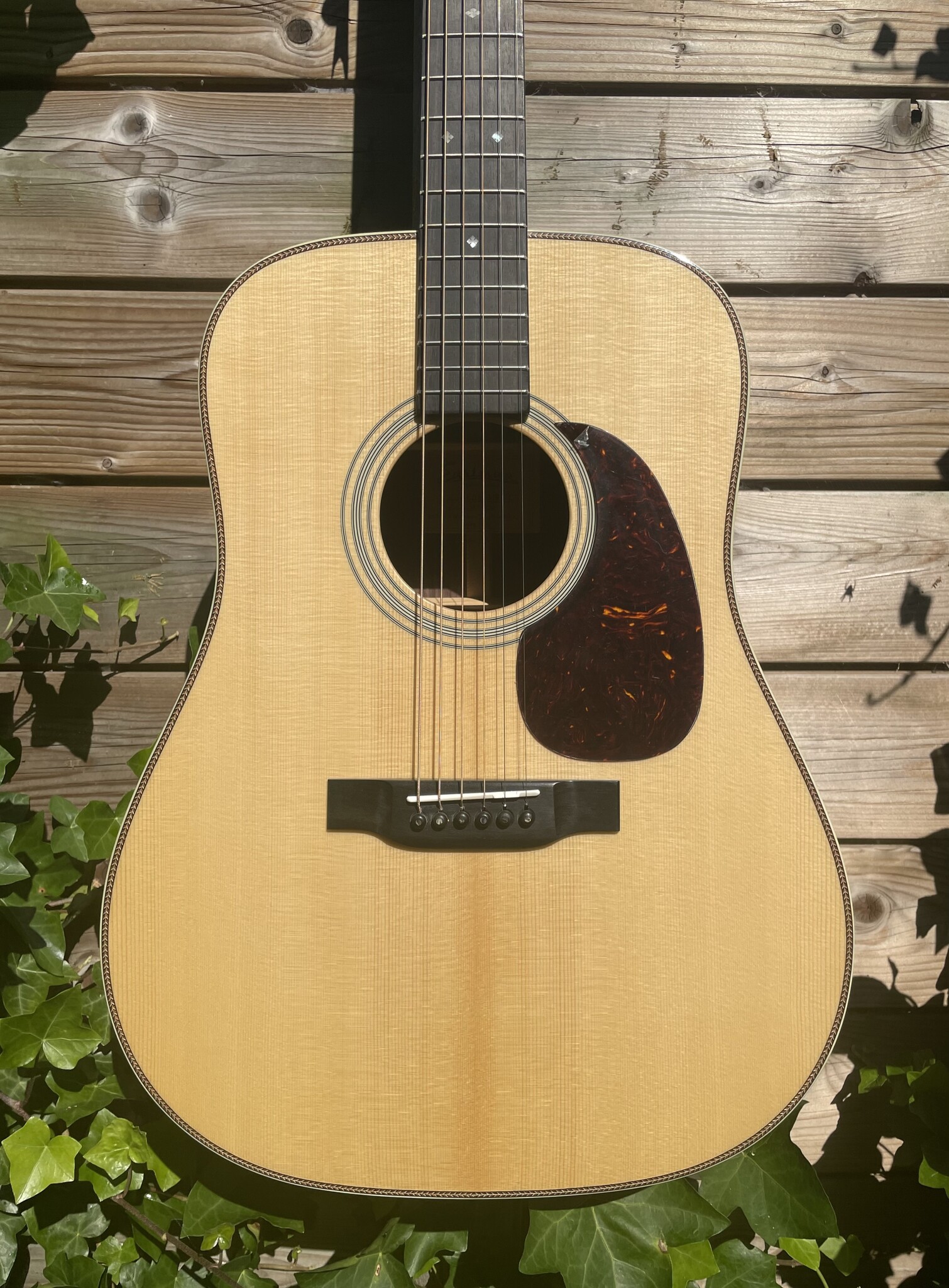 Eastman Eastman E20D-MR-TC (#...218)