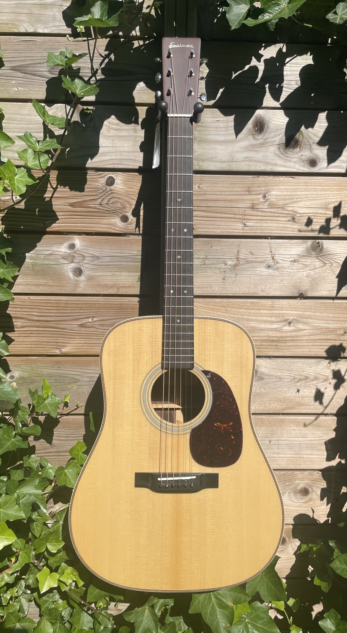 Eastman Eastman E20D-MR-TC (#...218)