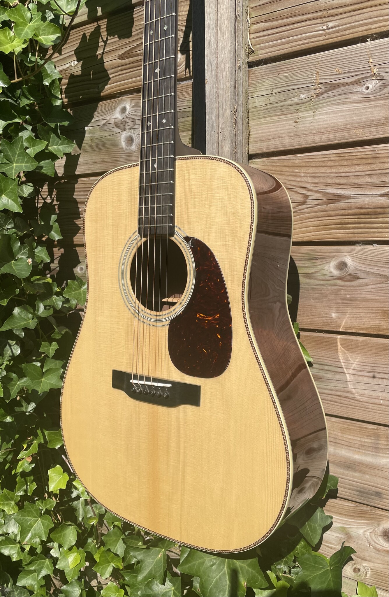 Eastman Eastman E20D-MR-TC (#...218)